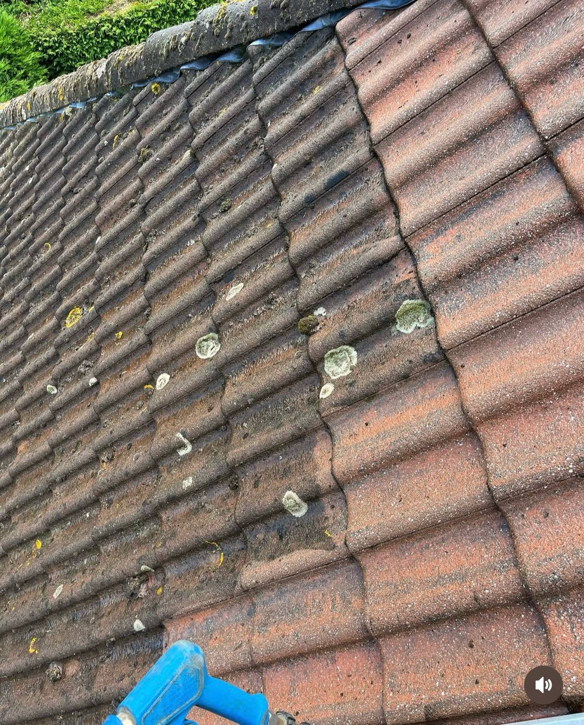 Detail gereinigde dakpannen na dakreiniging