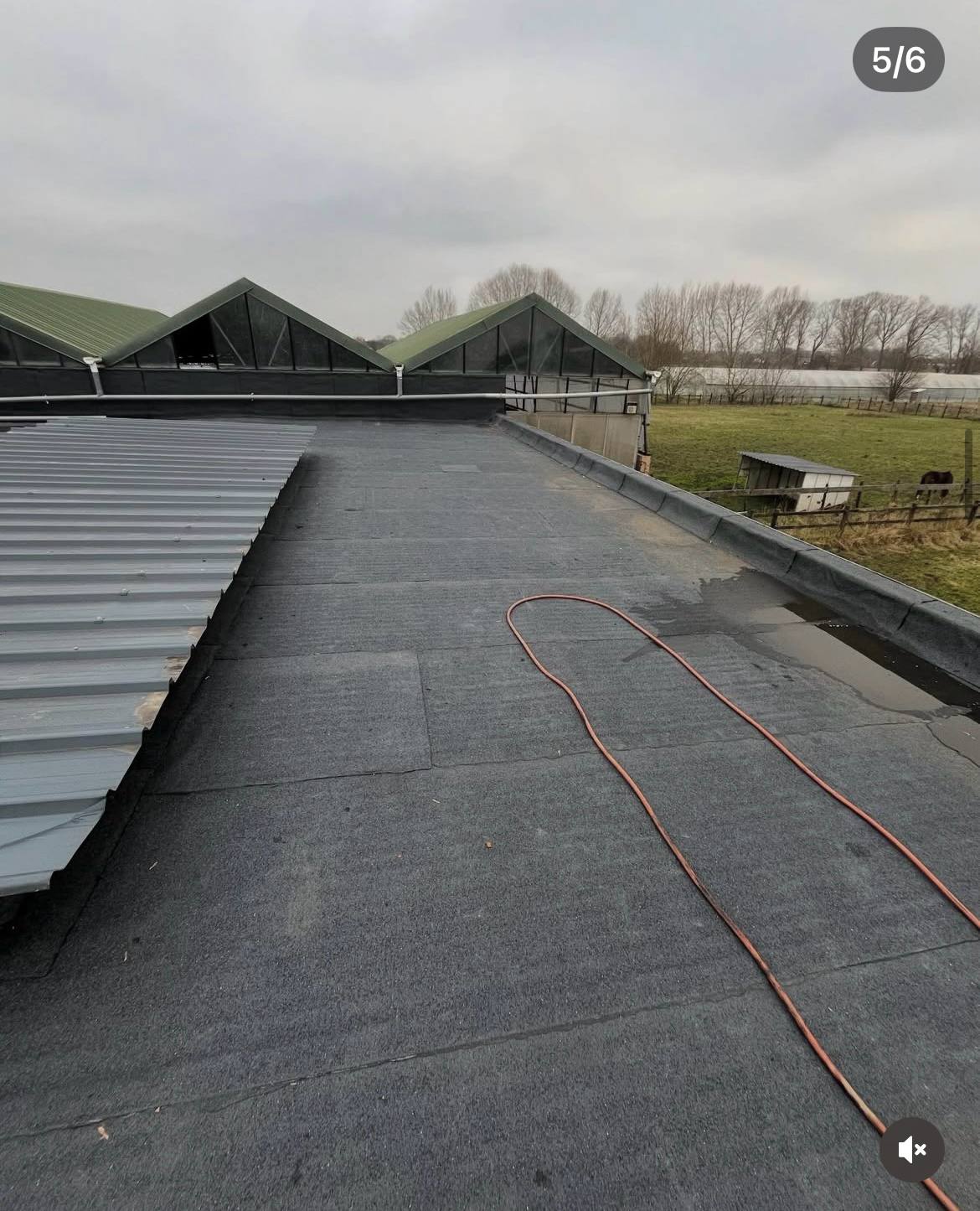 Professionele dakreiniging hellend dak Oost-Vlaanderen