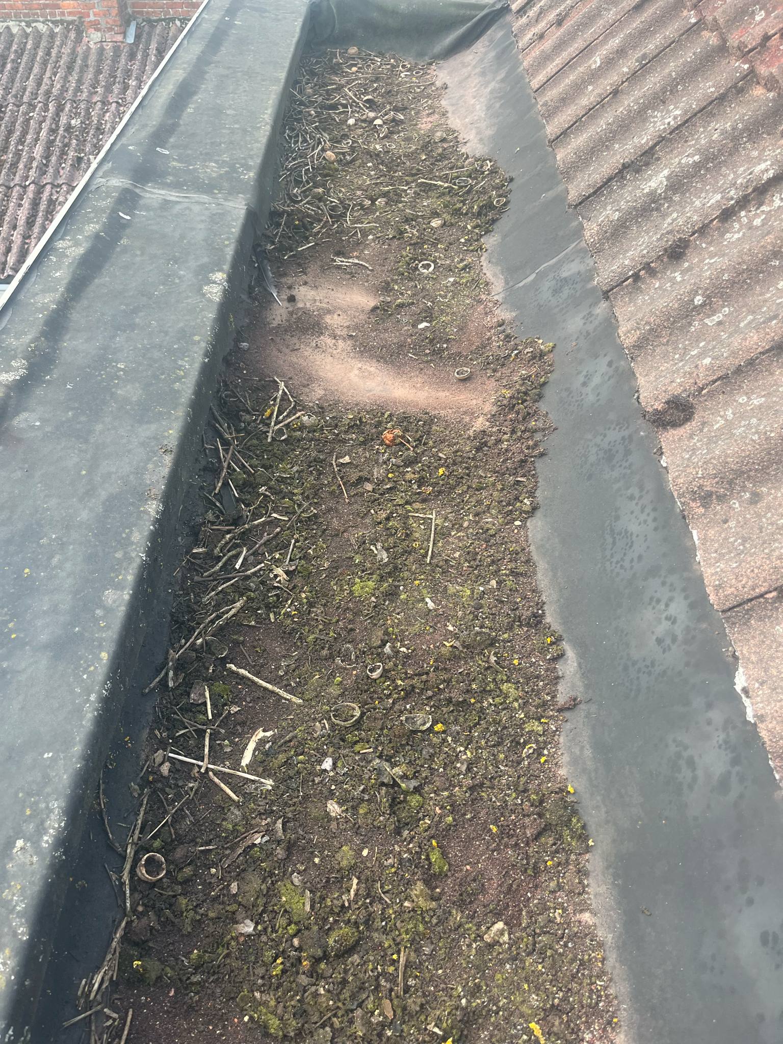 Bakgootrenovatie Gent - eindlaag met leislag