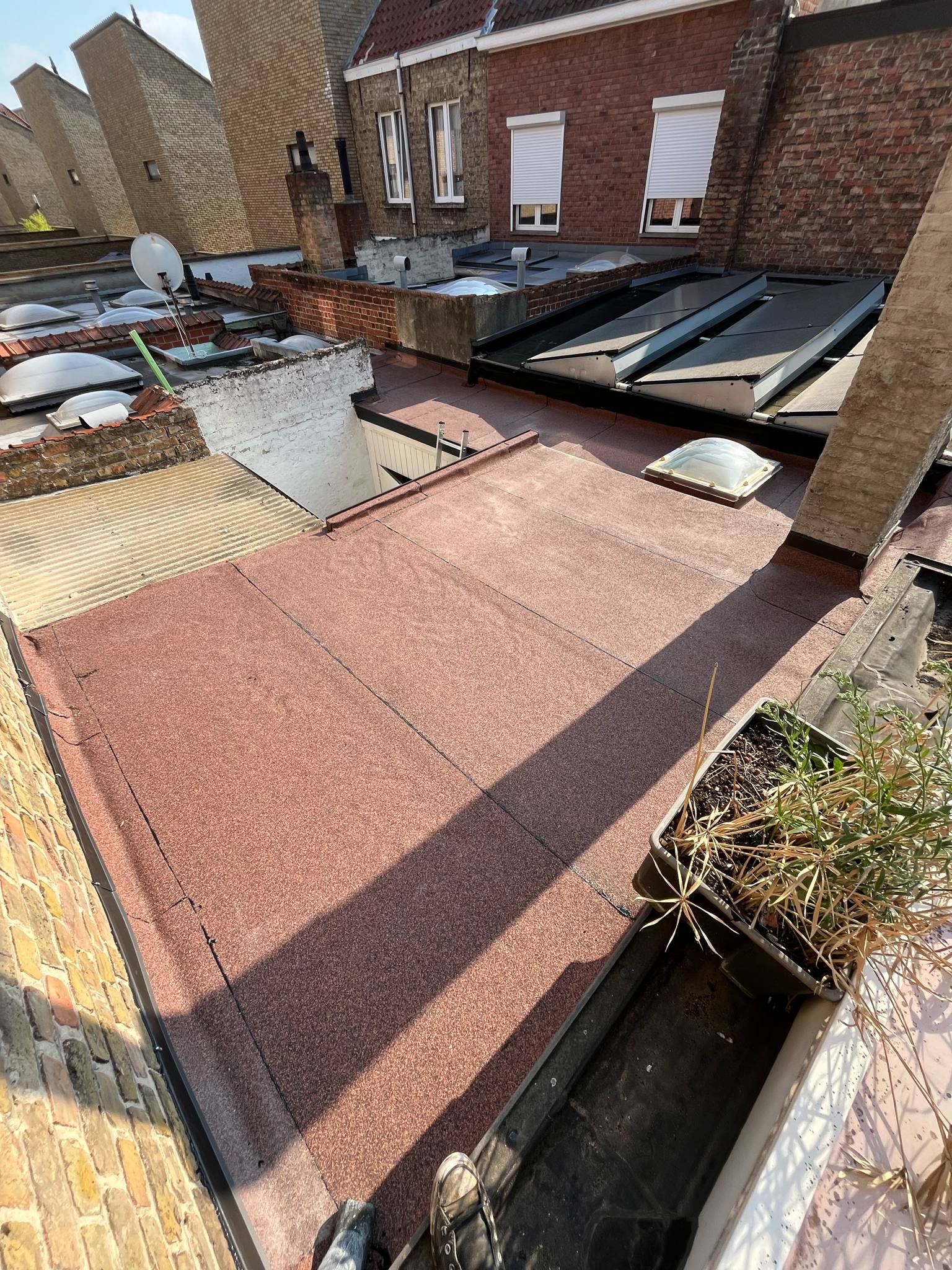 Platdakrenovatie Brugge - dakranden en muurprofielen