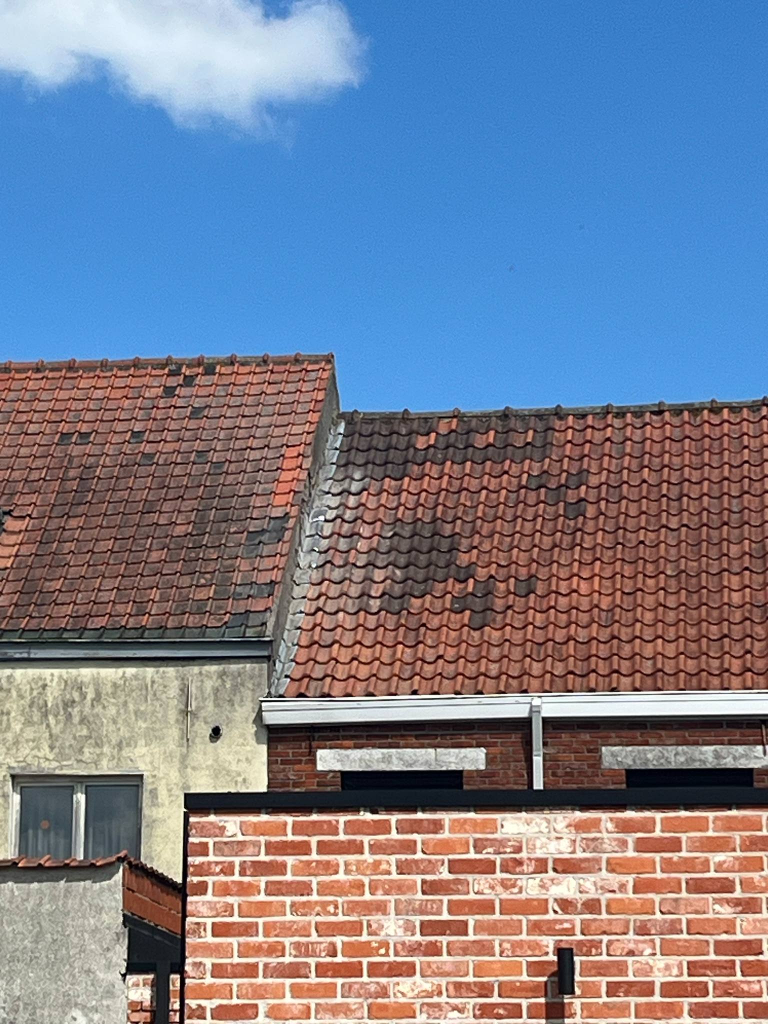 Schoorsteenverwijdering Adegem - eindresultaat met nieuwe dakpannen